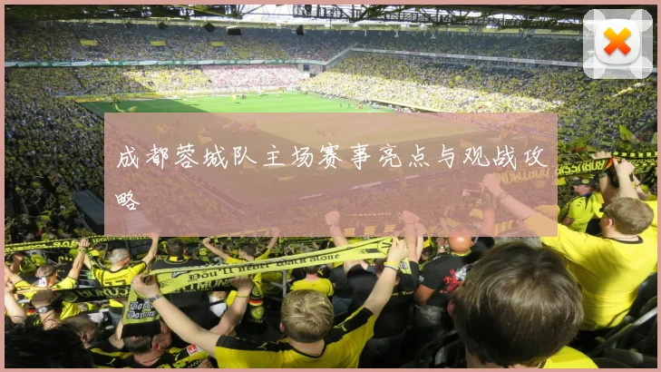 成都蓉城队主场赛事亮点与观战攻略